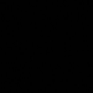 Meet your Posher, Shukri